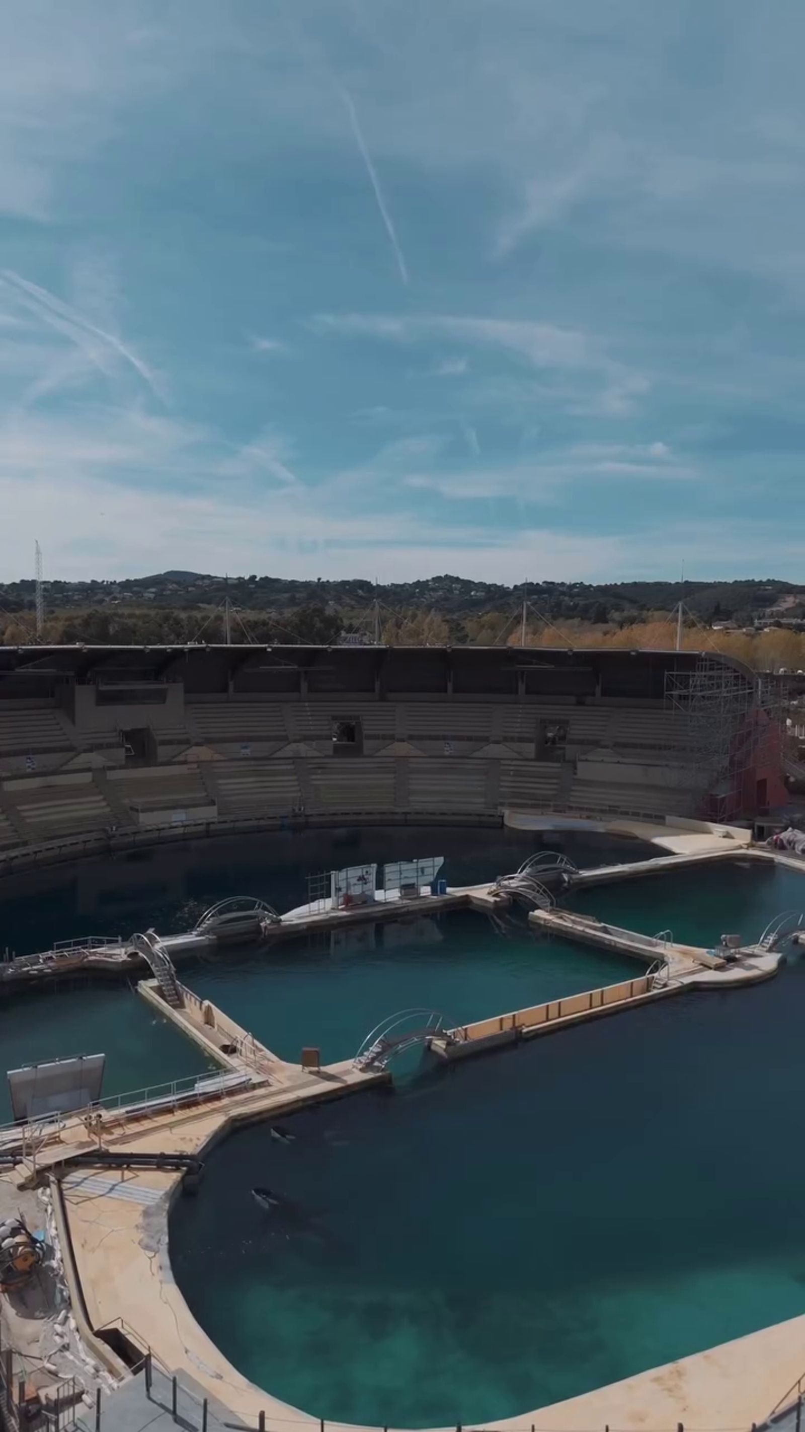 虎鯨母子困法國廢棄樂園「聽見無人機聲竟開始表演」！　攝影師淚揭畫面：牠們像是想起「被人看見」的記憶