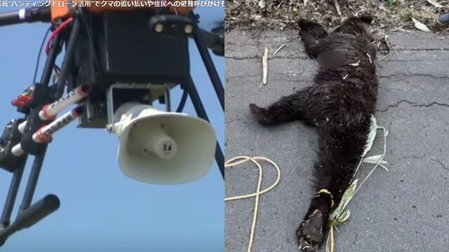 ▲▼日本岐阜縣決定效法北海道，透過無人機播放犬吠和爆竹聲來驅趕熊。（圖／翻攝自YouTube）