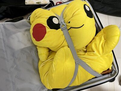 旅行必帶皮卡丘!日推主行李箱壓娃照爆紅 網共鳴「愛的重量」