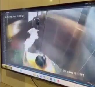 女傭「電梯摔死狗」影片曝光！　飼主目睹淚崩驚叫