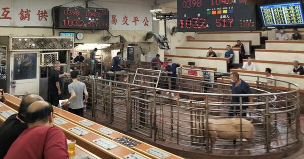 ▲彰化市肉品市場7日提前1小時進行交易。（資料示意圖／縣府提供）