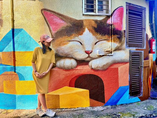 ▲新北彩繪魔法點亮社區 打造741條藝術巷弄。（圖／新北市水利局提供）