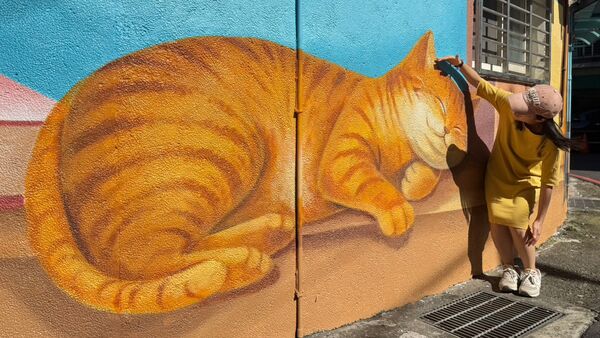 ▲新北彩繪魔法點亮社區 打造741條藝術巷弄。（圖／新北市水利局提供）