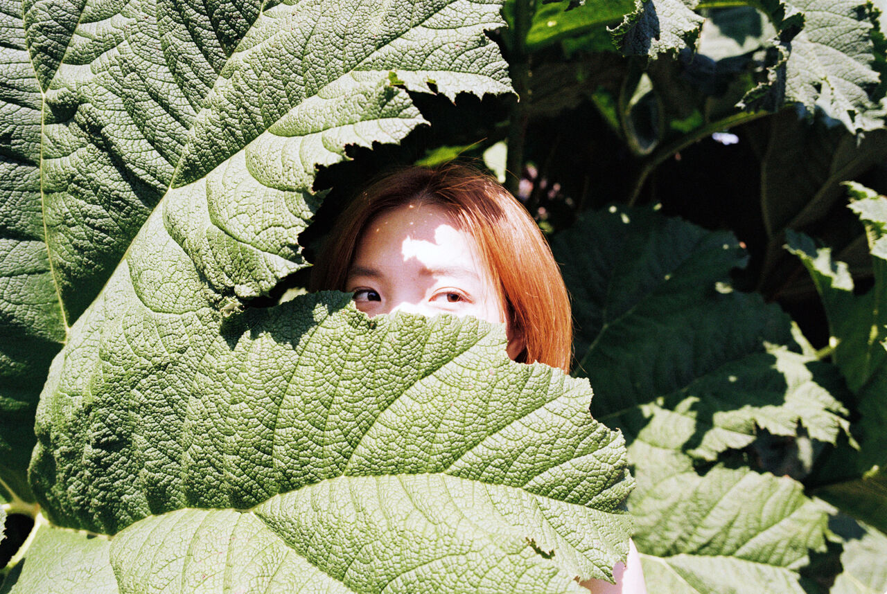 ▲▼洪佩瑜《開》實體專輯預購。（圖／何樂音樂提供）