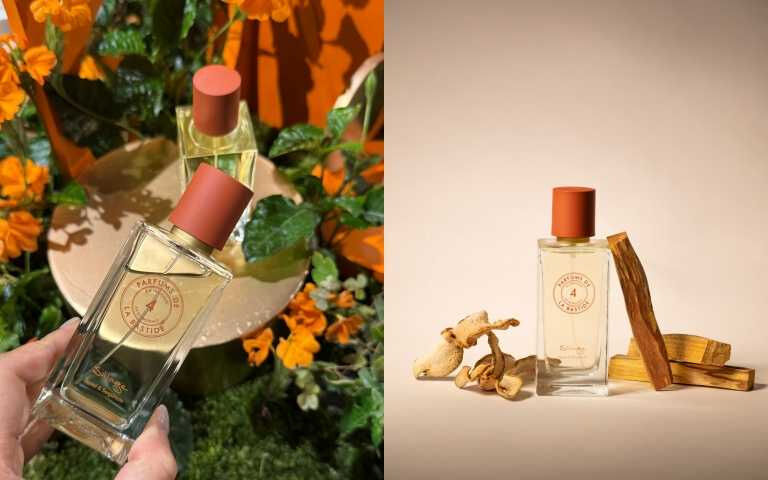 線性香派V.S感官香派你是哪派！2025秋冬最強嗅覺趨勢，三款香氣一噴入魂