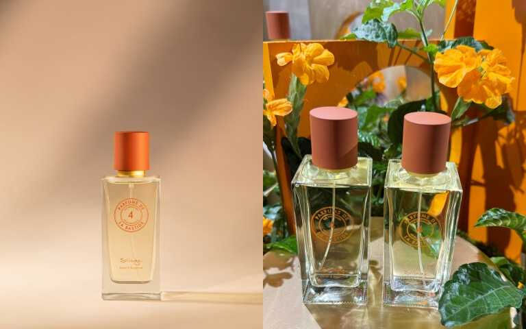 線性香派V.S感官香派你是哪派！2025秋冬最強嗅覺趨勢，三款香氣一噴入魂