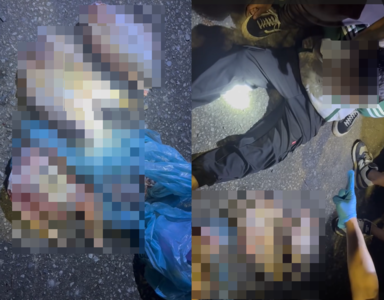 台中抓獲移工販賣狗肉 竟掃到晶片「是走失2個月多多」