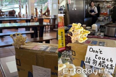 包裹未取被退回　珊瑚菇「鑽破紙箱」冒出！網笑：真的是箱菇
