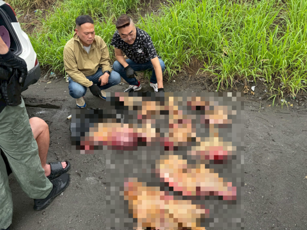 抓獲移工販售狗肉。（圖／翻攝自社團法人新竹縣流浪動物珍愛協會、朱健銘臉書）