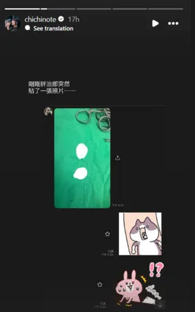 ▲▼織織。（圖／翻攝自Instagram／chichinote）