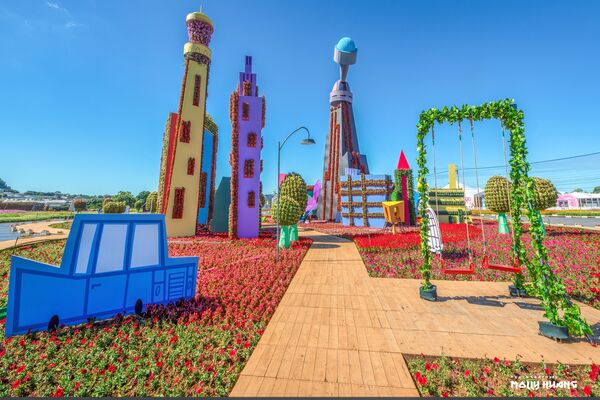 ▲「2025新社花海暨台中國際花毯節」11月8日起在新社區種苗改良繁殖場二苗圃登場。（圖／網友莫莉提供）