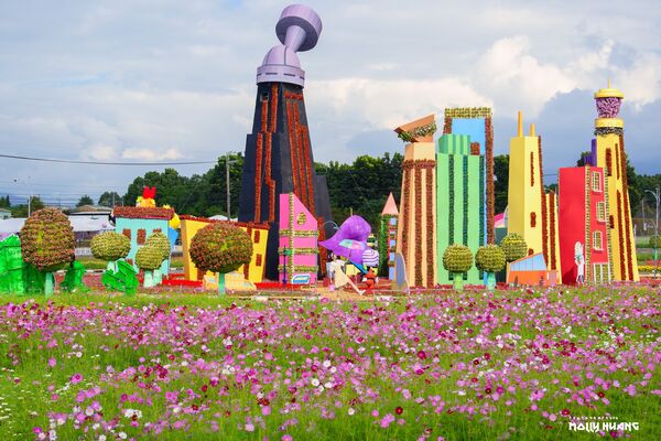 ▲「2025新社花海暨台中國際花毯節」11月8日起在新社區種苗改良繁殖場二苗圃登場。（圖／網友莫莉提供）