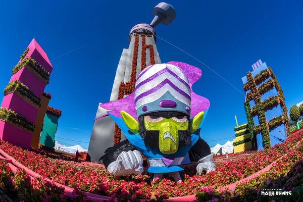 ▲「2025新社花海暨台中國際花毯節」11月8日起在新社區種苗改良繁殖場二苗圃登場。（圖／網友莫莉提供）