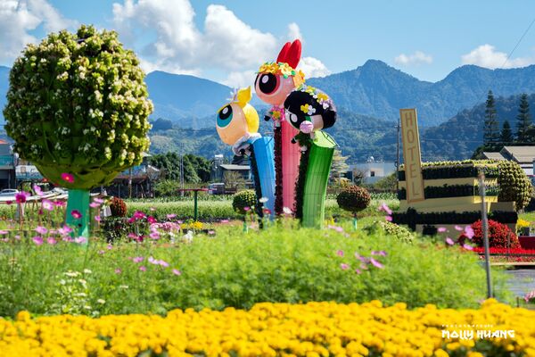 ▲「2025新社花海暨台中國際花毯節」11月8日起在新社區種苗改良繁殖場二苗圃登場。（圖／網友莫莉提供）