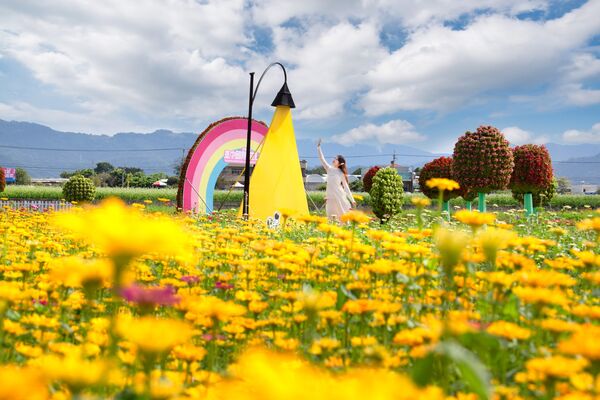 ▲「2025新社花海暨台中國際花毯節」11月8日起在新社區種苗改良繁殖場二苗圃登場。（圖／網友莫莉提供）