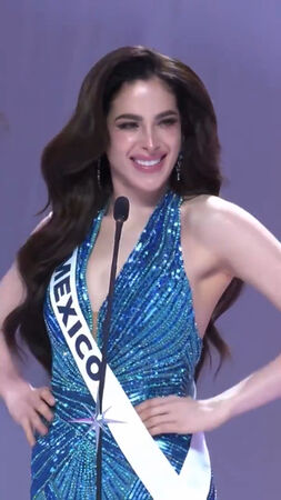 ▲▼2025年環球小姐選美比賽爆發言語衝突，泰國賽事總監道歉。（圖／翻攝自X）