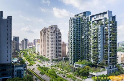 「神山群」護航全台最大縣轄市　價格緩漲不回頭