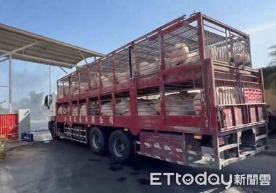 快訊/豬隻將恢復屠宰 農業部:最快明天部分黃昏市場可買到