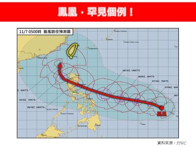 「鳳凰3特點」專家直呼罕見個例　揭2冷知識：鳳凰不是鳥