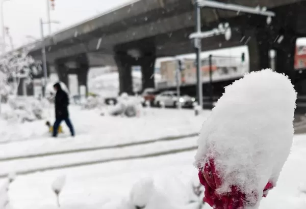 ▲大雪紛飛的烏魯木齊。（圖／翻攝自微博，下同）
