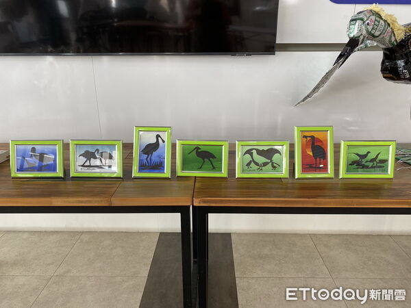 ▲黑琵水雉3項主題展將於七股遊客中心登場，展期一路到明年5月底。（記者林東良翻攝，下同）