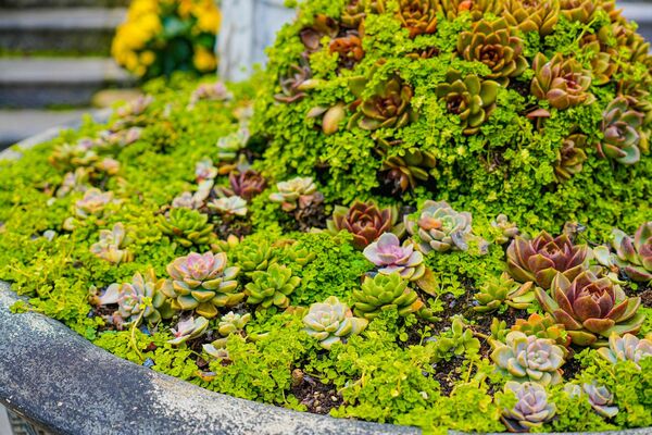 ▲▼峴港巴拿山一日遊攻略！佛手橋、法國村、地圖、穿著與自助餐完整懶人包。（圖／部落客珊莎提供）