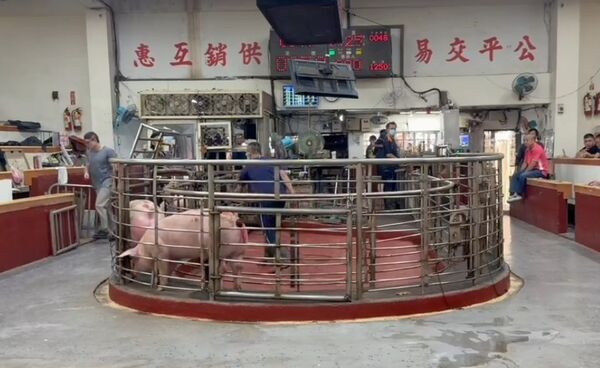 ▲彰化肉品市場開市送紅包。（圖／民眾提供）