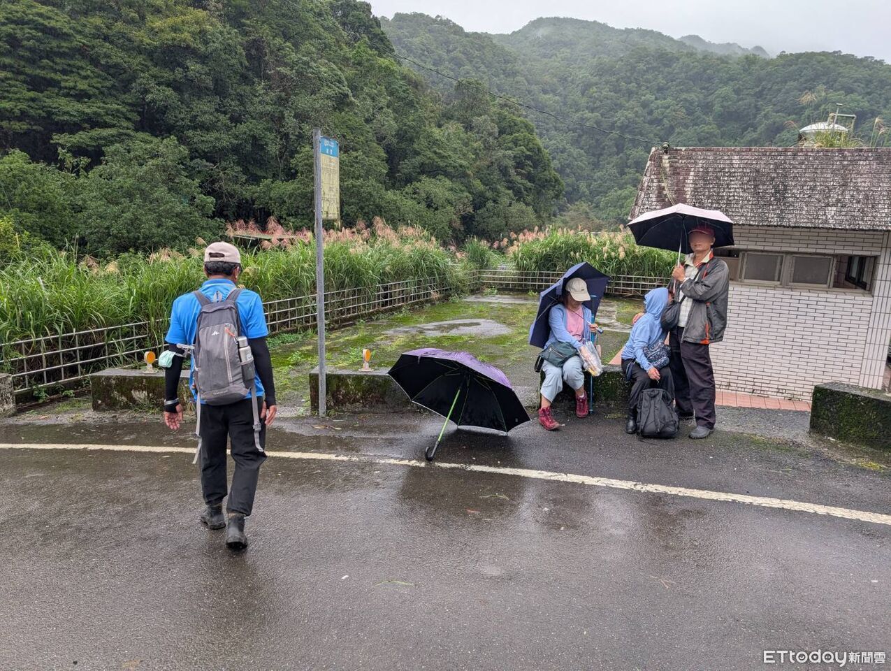 快訊／新北雙溪烏山古道3人遭虎頭蜂攻擊　現場急拉封鎖線