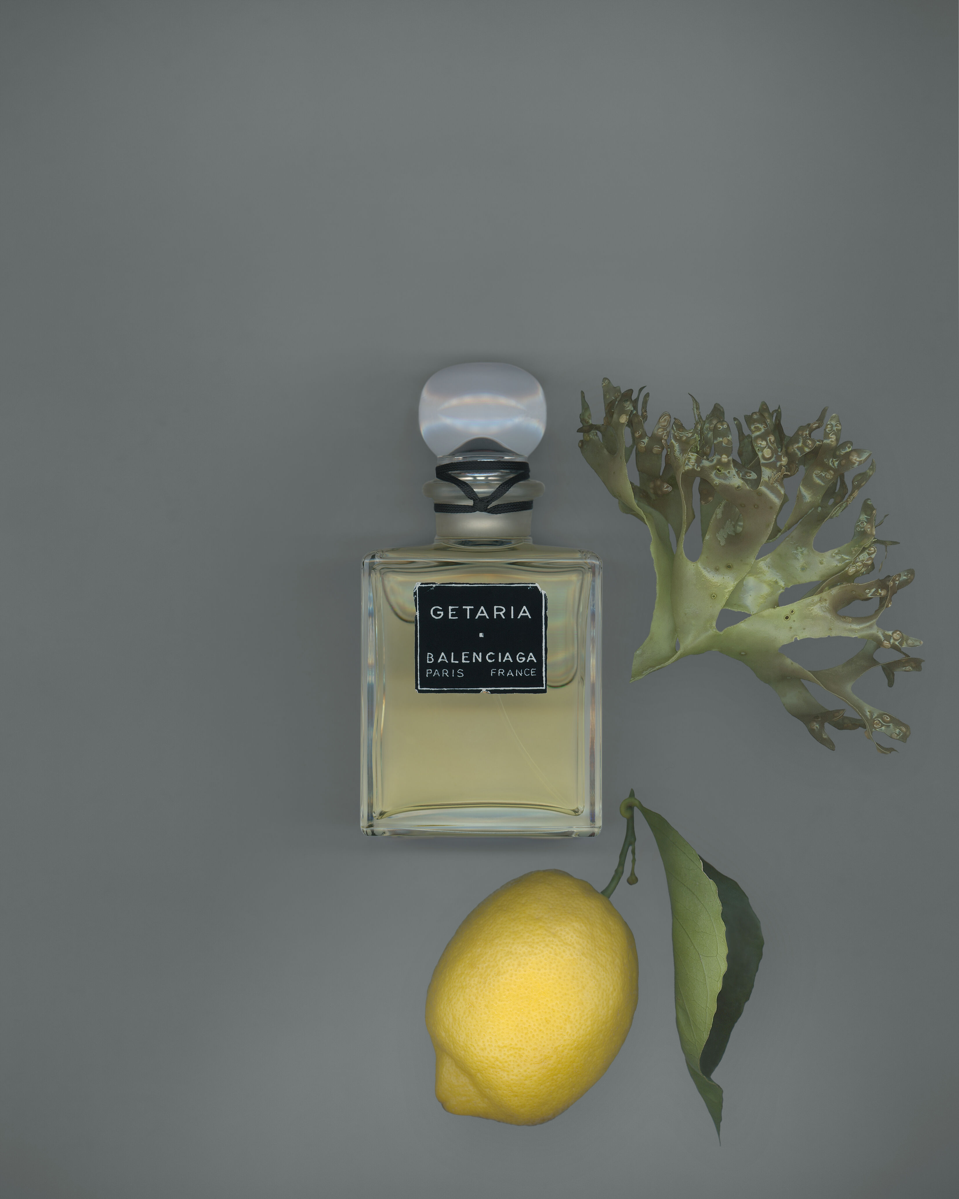 ▲▼balenciaga       。（圖／品牌提供）