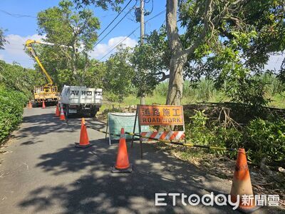 雲林台電啟動防災整備　提醒民眾修剪樹枝防觸電