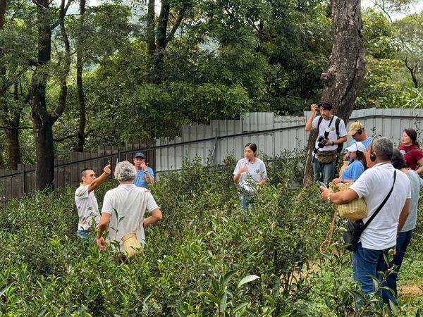 ▲▼          響應全國有機農業日　新北辦國際線上論壇交流有機市場行銷經驗   。（圖／新北市政府）