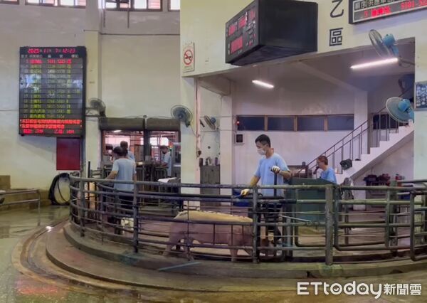 ▲▼農業部表示，全國20處肉品市場，今天已有7處市場已開始拍賣交易，價格穩定。（圖／記者許敏溶翻攝）