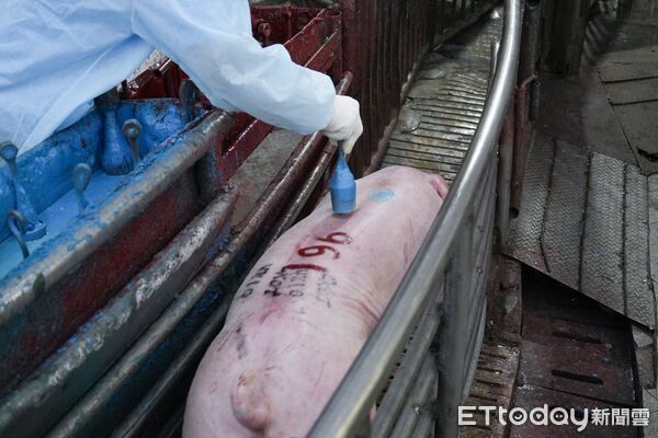 ▲▼             。（圖／台中市政府提供）