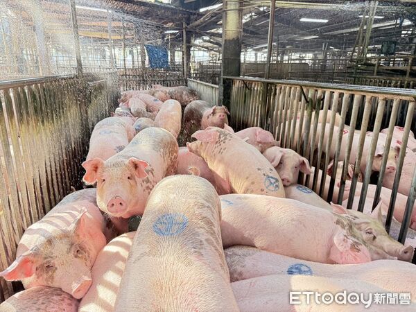 ▲雲林肉品市場重啟交易。（圖／記者游瓊華翻攝）