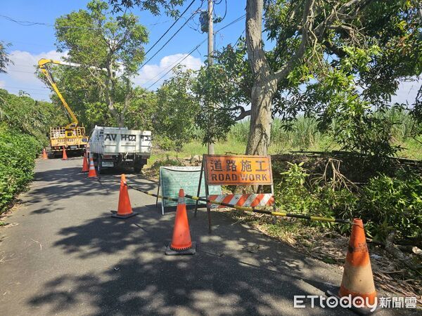 ▲防颱修剪作業進行中，清除可能影響電線的樹枝，預防停電風險。（圖／記者游瓊華翻攝）