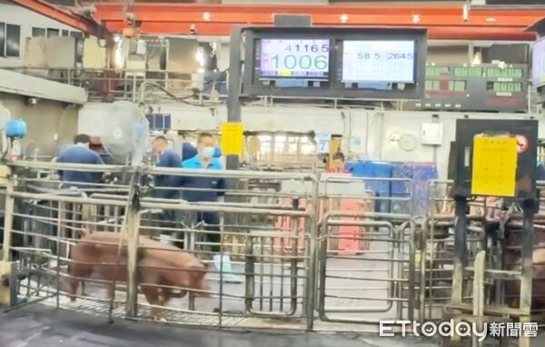 ▲歷經15天禁宰後，雲林肉品市場再度開拍，象徵產業回歸正軌。（圖／記者游瓊華翻攝）