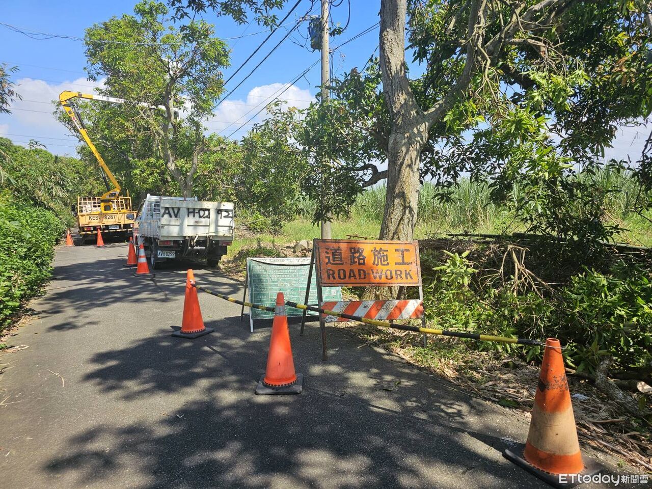 雲林台電啟動防災整備　提醒民眾修剪樹枝防觸電