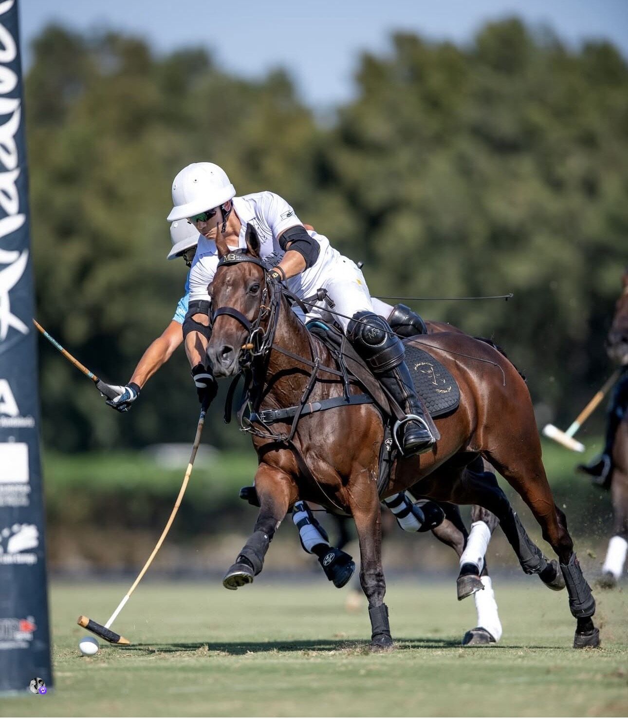 ▲▼馬丁王子             。（圖／翻攝IG）