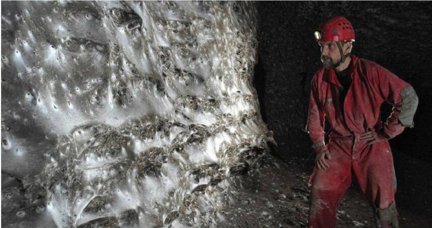 驚世奇觀！全球最大面積「蜘蛛網牆」曝光　11萬隻共同編織「以牠為食」