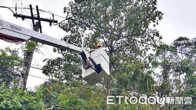 台電基隆區處超前部署防颱　預防性修樹、強化防汛護供電