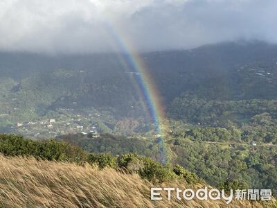 獨／陽明山「彩虹季」11月最常見　2時段最佳觀賞地點曝