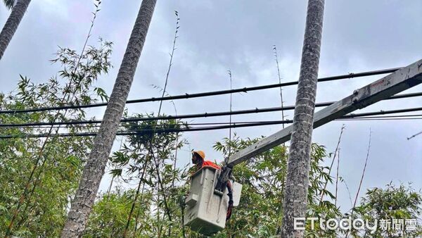▲台電基隆區處超前部署防颱整備。（圖／記者郭世賢翻攝）
