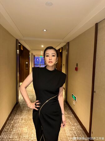 ▲▼資深女星控國際影展黑箱　辛芷蕾霸氣回擊。（圖／翻攝自微博／郝蕾山水回聲工作室）