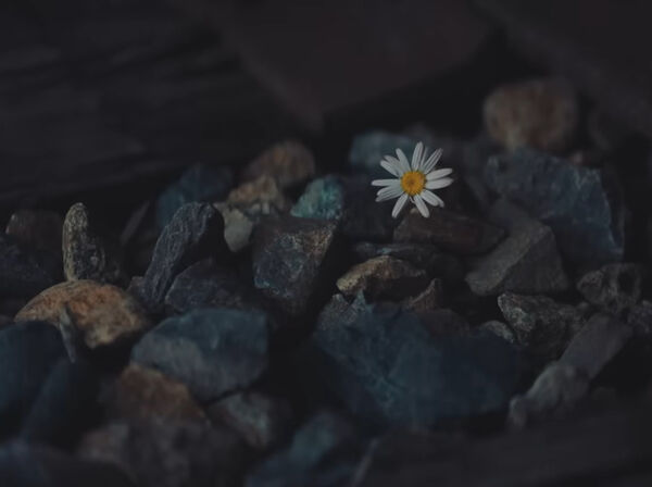 ▲凱蒂佩芮MV。（圖／翻攝自YouTube）