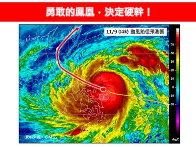 「勇敢鳳凰決定硬幹」撞中央山脈　可能像山陀兒死在台灣