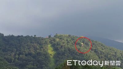 驚險！埔里2飛行傘玩家傘具「空中交纏」墜林　1人誤判路線釀禍