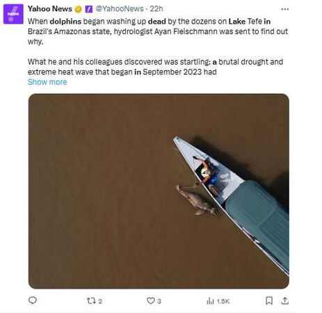 研究人員於亞馬遜特費湖打撈死亡海豚，環境溫度極高，湖泊面積大幅縮減，水中缺氧與高溫導致大量生物死亡。（圖／翻攝自X，@YahooNews）