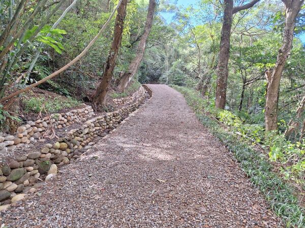 ▲桃園龜山大棟山最新「大湖之森步道」11月底啟用。（圖／桃園市觀旅局提供）