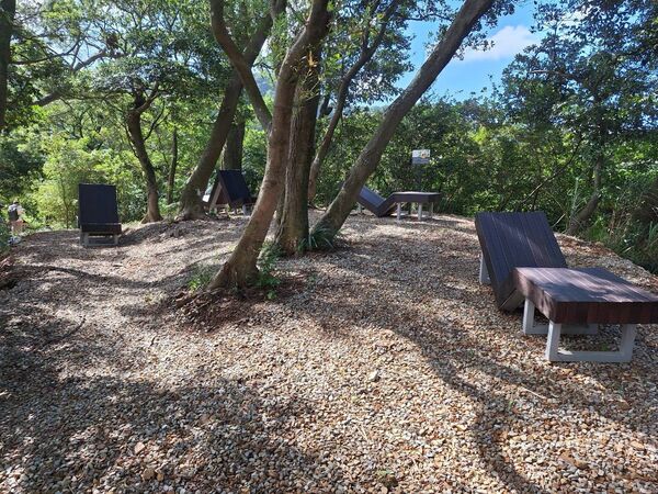 ▲桃園龜山大棟山最新「大湖之森步道」11月底啟用。（圖／桃園市觀旅局提供）