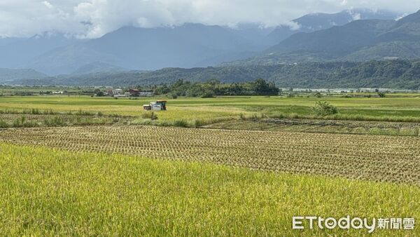 ▲▼馬太鞍堰塞湖警戒值已達黄色警戒。（圖／記者王兆麟翻攝資料照片，下同）